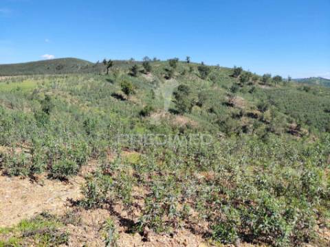 Terreno rústico ,sabóia,odemira.
