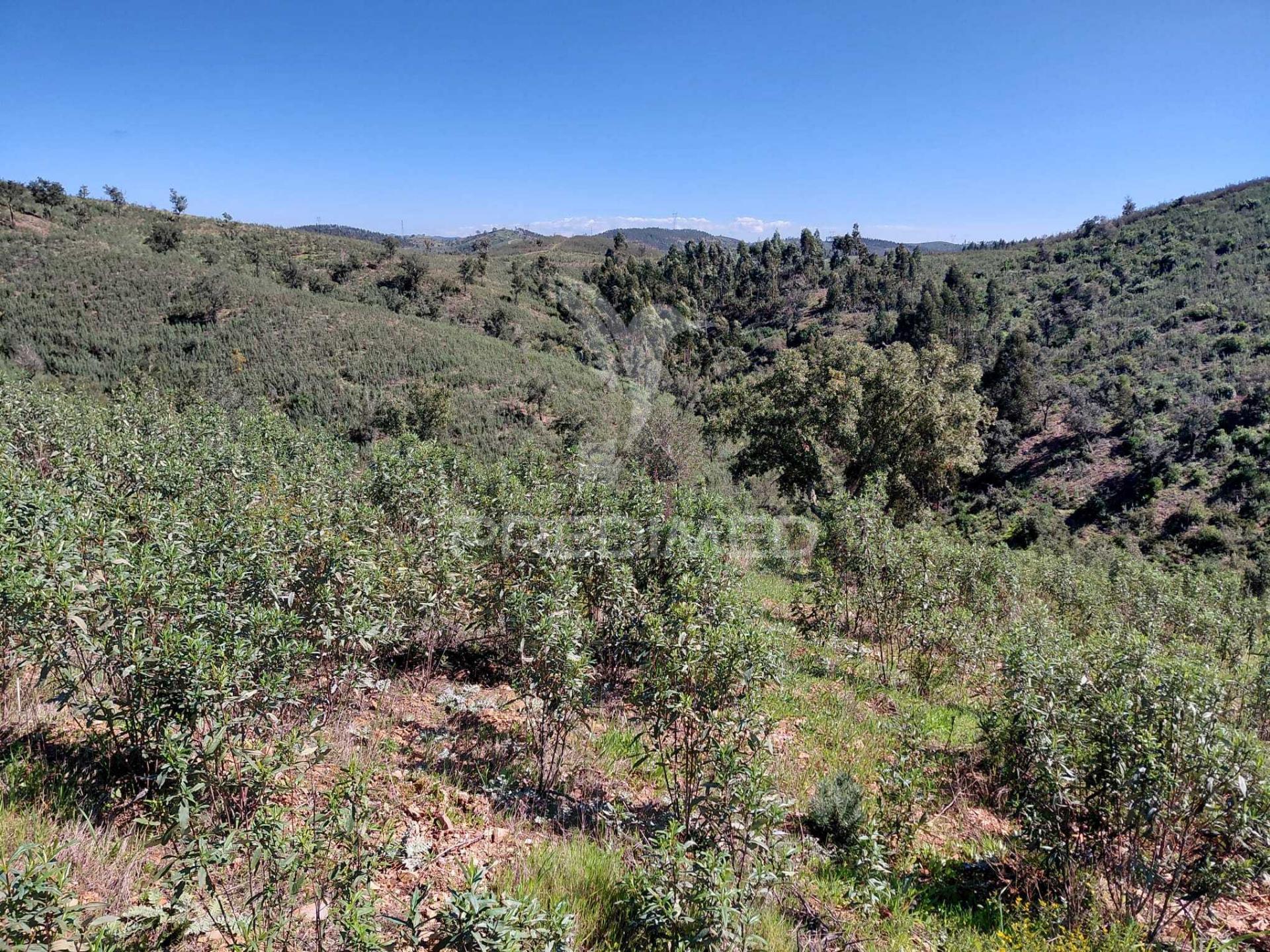 Terreno rústico ,sabóia,odemira.