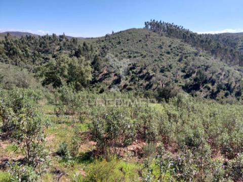 Terreno rústico ,sabóia,odemira.