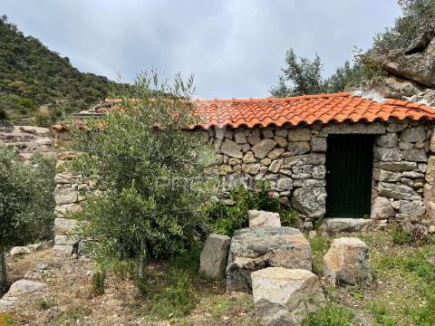 Moradia independente à venda no lugar da palhinha em vilarinho da castanheira