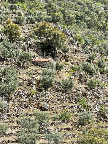 Moradia independente à venda no lugar da palhinha em vilarinho da castanheira