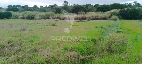 Terreno rustico (1,6 ha) junto à mata de cabeção– excelente oportunidade