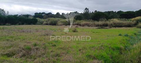 Terreno rustico (1,6 ha) junto à mata de cabeção– excelente oportunidade