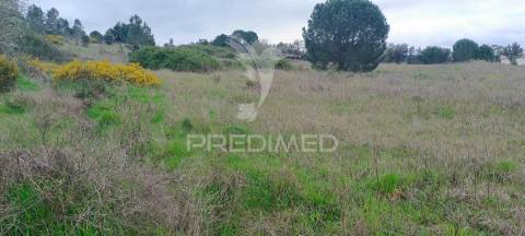 Terreno rustico (1,6 ha) junto à mata de cabeção– excelente oportunidade