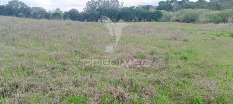 Terreno rustico (1,6 ha) junto à mata de cabeção– excelente oportunidade