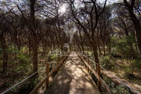 Moradia de luxo t3 verdizela