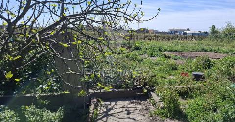 Moradia t2 com anexos e terreno na vila de alpiarça.