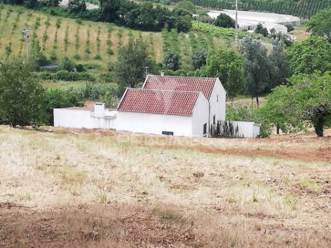 Fantástica moradia bi-familiar em vidais  privacidade, espaço e natureza!