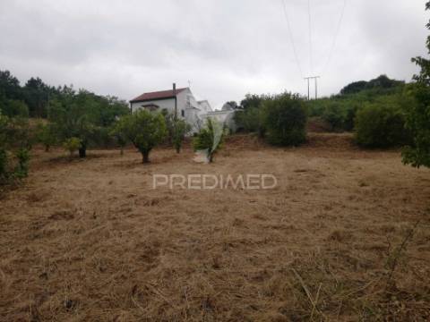 Fantástica moradia bi-familiar em vidais  privacidade, espaço e natureza!