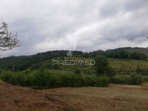 Fantástica moradia bi-familiar em vidais  privacidade, espaço e natureza!