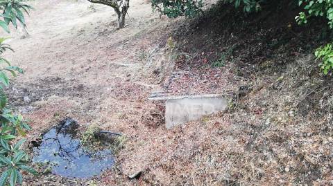 Fantástica moradia bi-familiar em vidais  privacidade, espaço e natureza!