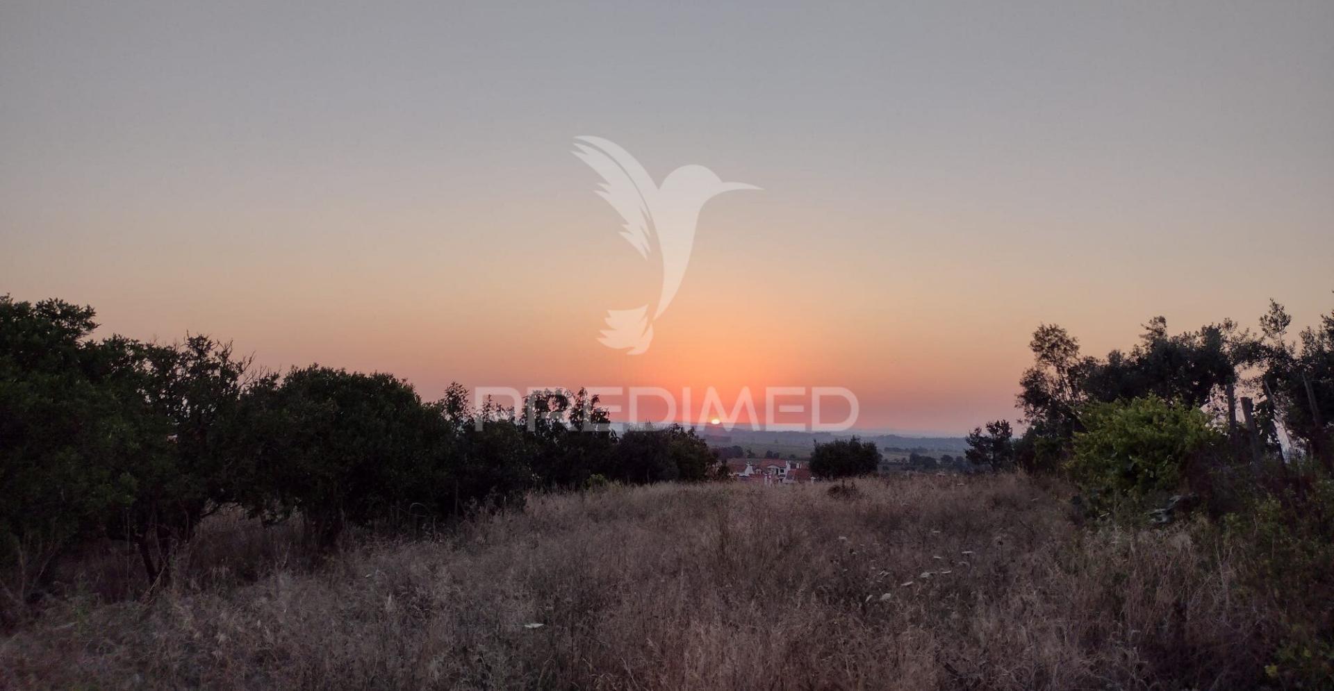 Terreno urbano com 1.560 m2 em alpiarça, santarém.