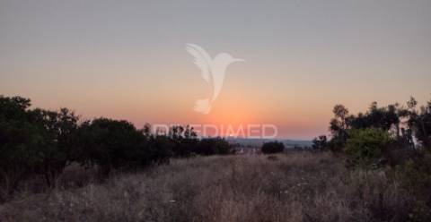 Terreno urbano com 1.560 m2 em alpiarça, santarém.