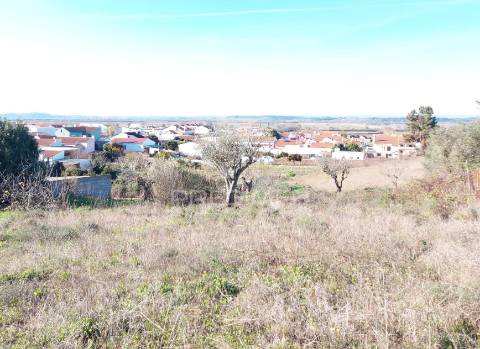 Terreno urbano com 1.560 m2 em alpiarça, santarém.