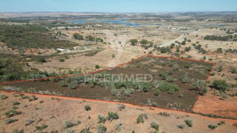 Terreno rústico com 5,2500 ha em chada velha, ourique