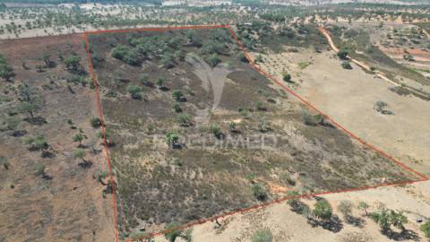 Terreno rústico com 5,2500 ha em chada velha, ourique