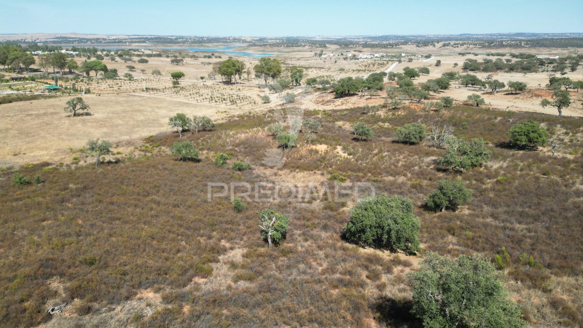 Terreno rústico com 5,2500 ha em chada velha, ourique