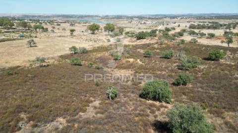 Terreno rústico com 5,2500 ha em chada velha, ourique