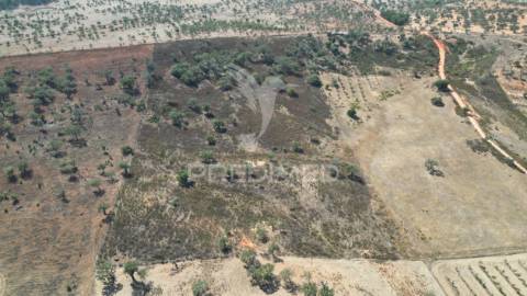 Terreno rústico com 5,2500 ha em chada velha, ourique