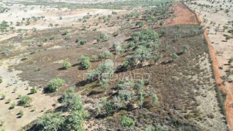 Terreno rústico com 5,2500 ha em chada velha, ourique