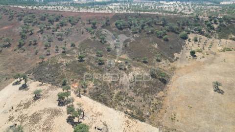 Terreno rústico com 5,2500 ha em chada velha, ourique