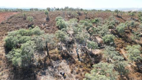 Terreno rústico com 5,2500 ha em chada velha, ourique