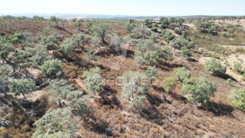 Terreno rústico com 5,2500 ha em chada velha, ourique