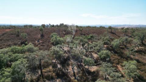 Terreno rústico com 5,2500 ha em chada velha, ourique
