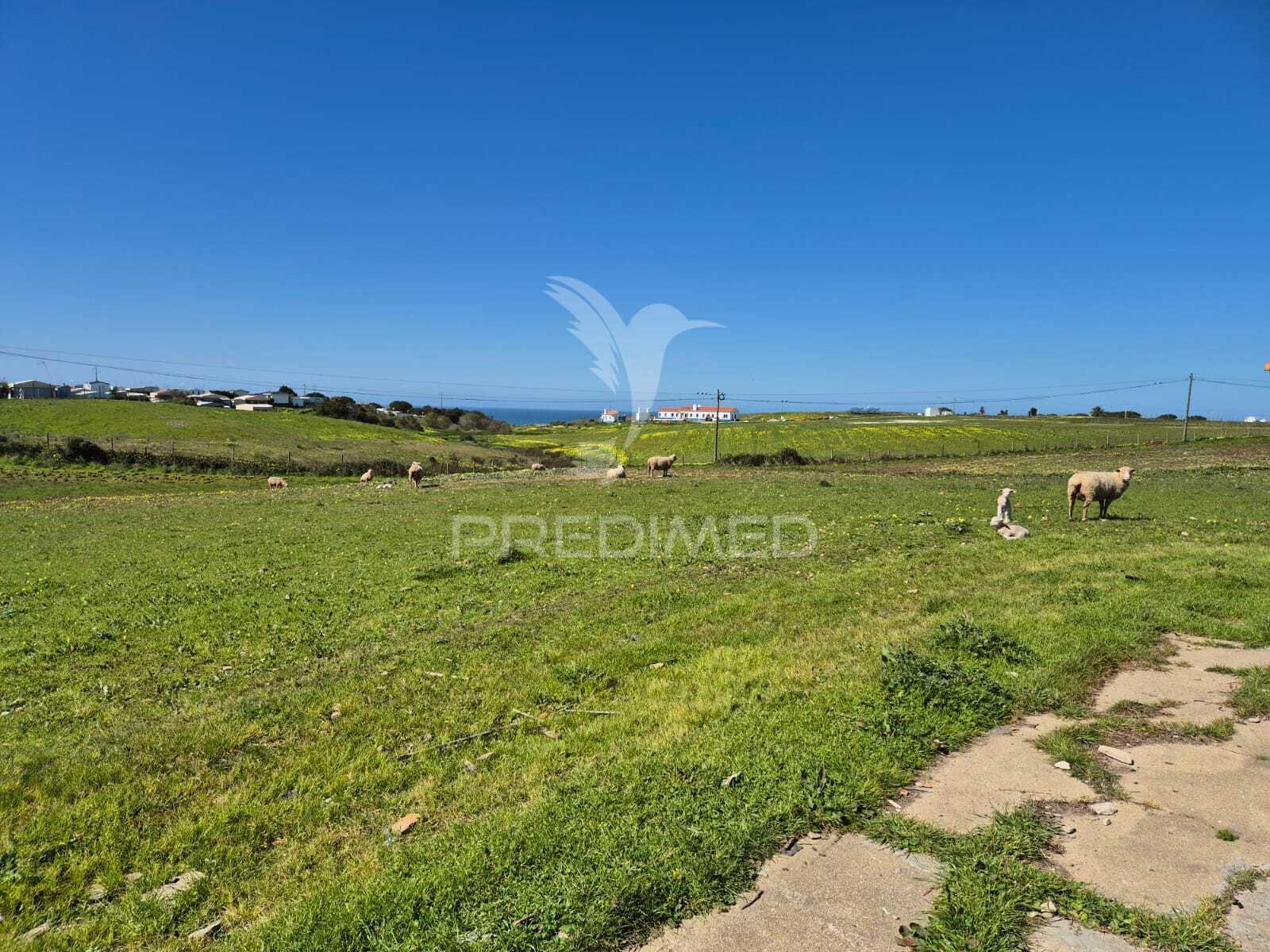 Terreno com 5,3 hc e habitação para reabilitar | vista mar | porto covo