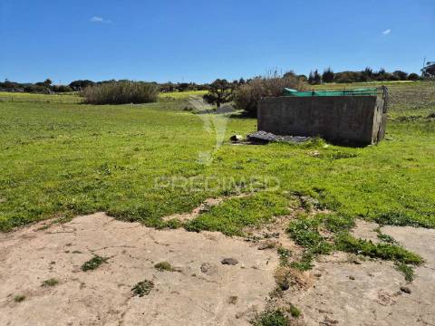 Terreno com 5,3 hc e habitação para reabilitar | vista mar | porto covo