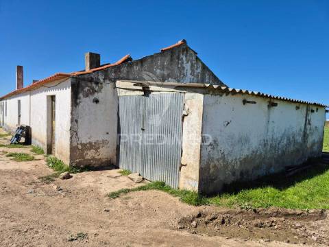 Terreno com 5,3 hc e habitação para reabilitar | vista mar | porto covo