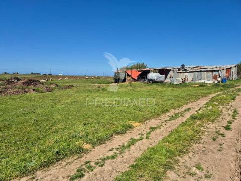 Terreno com 5,3 hc e habitação para reabilitar | vista mar | porto covo