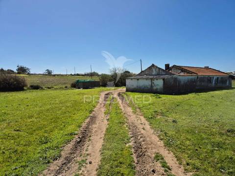 Terreno com 5,3 hc e habitação para reabilitar | vista mar | porto covo