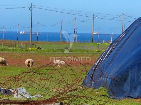 Terreno com 5,3 hc e habitação para reabilitar | vista mar | porto covo