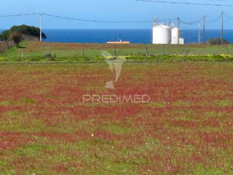 Terreno com 5,3 hc e habitação para reabilitar | vista mar | porto covo