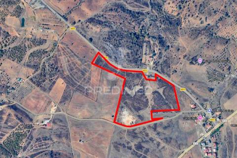 Terreno rústico com 3,43ha no azinhal