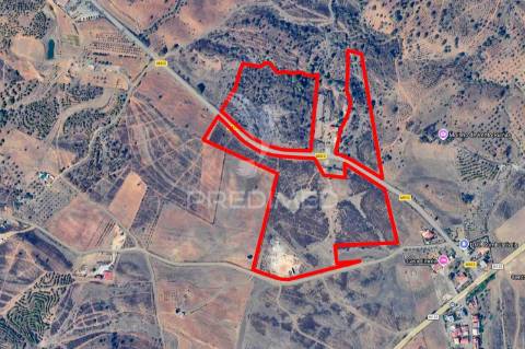 Terreno rústico com 3,43ha no azinhal