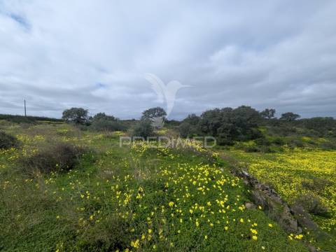 Terreno rústico com 1,63ha no azinhal