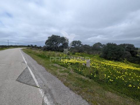 Terreno rústico com 1,63ha no azinhal