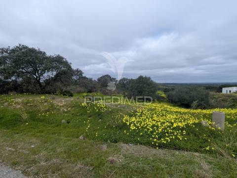 Terreno rústico com 1,63ha no azinhal