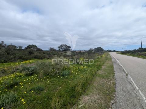 Terreno rústico com 1,63ha no azinhal