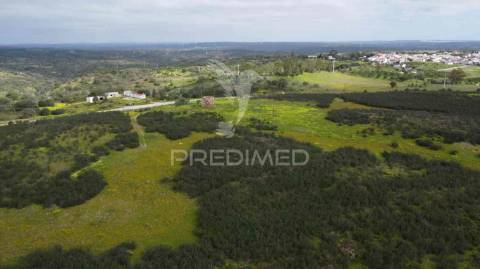 Terreno rústico com 1,63ha no azinhal