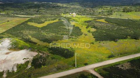 Terreno rústico com 1,63ha no azinhal