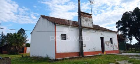 Monte alentejano, montargil
