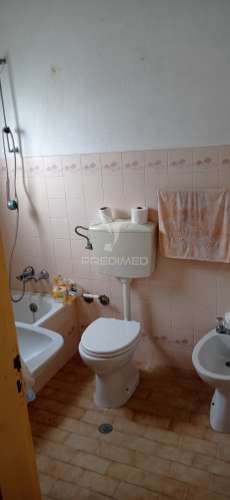 Monte alentejano, montargil