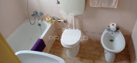 Monte alentejano, montargil