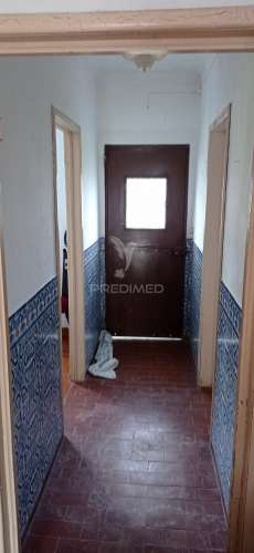 Monte alentejano, montargil