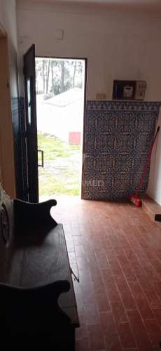 Monte alentejano, montargil