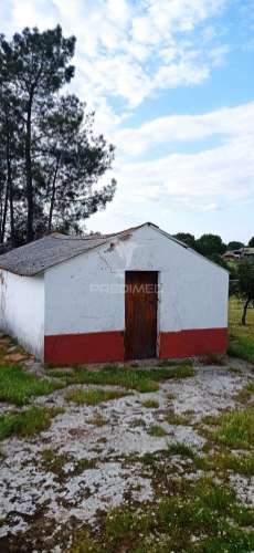 Monte alentejano, montargil