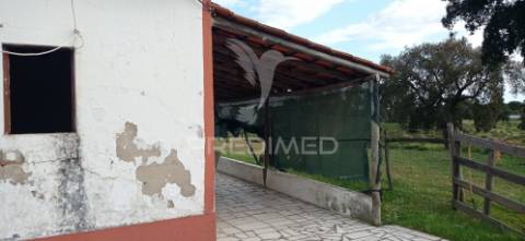 Monte alentejano, montargil